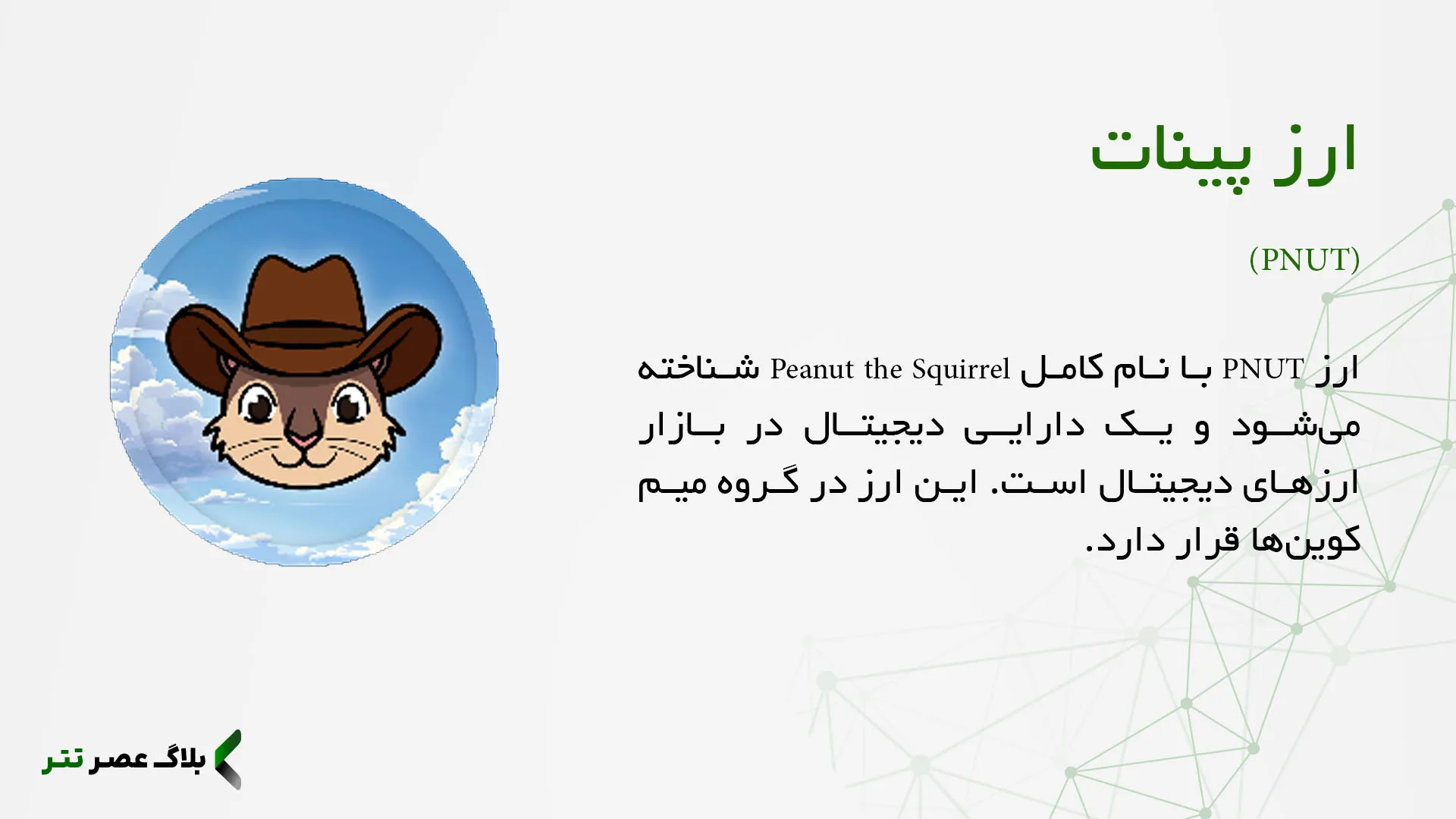 ارز پینات چیست؟