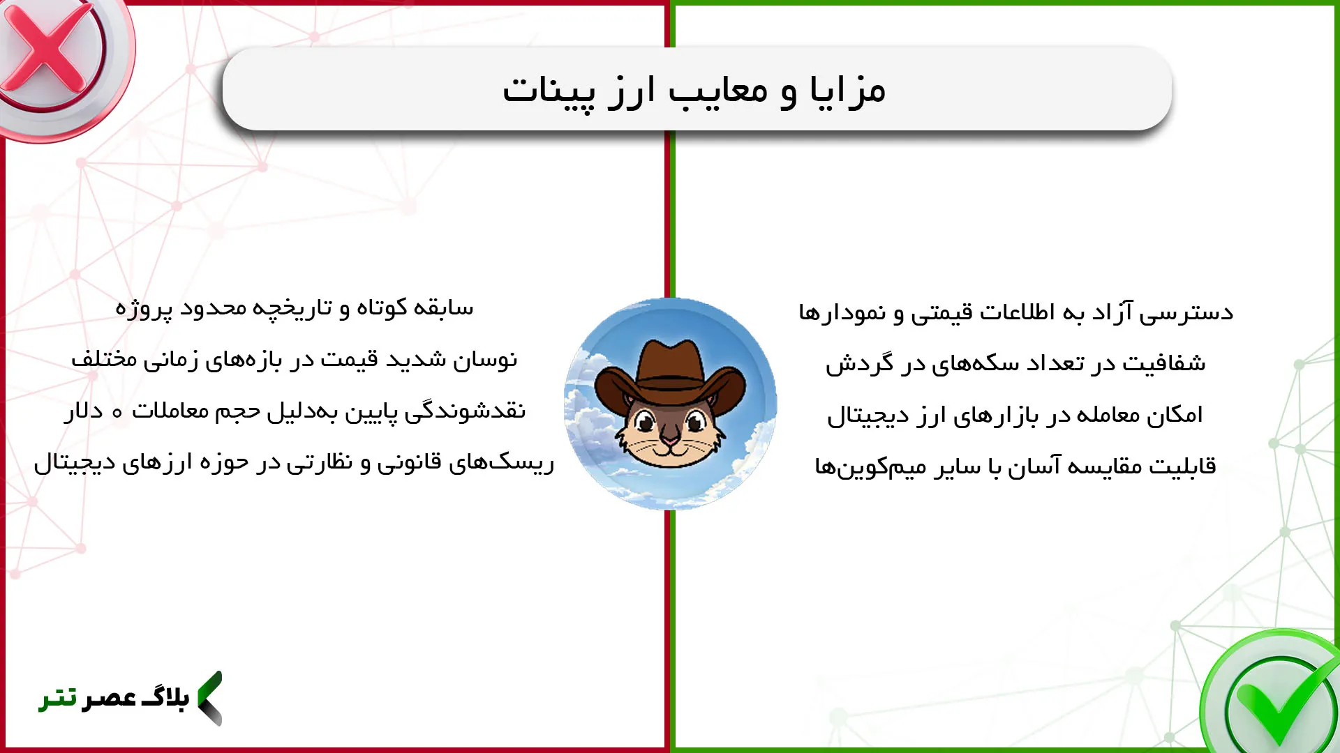 مزایا و معایب ارز پینات